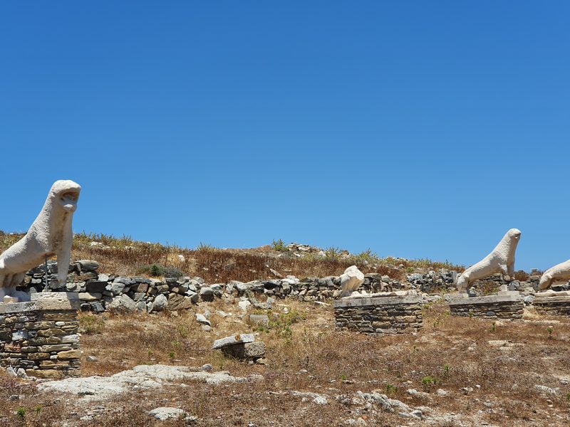 Tall marble columns rising from the ruined houses of ancient Delos